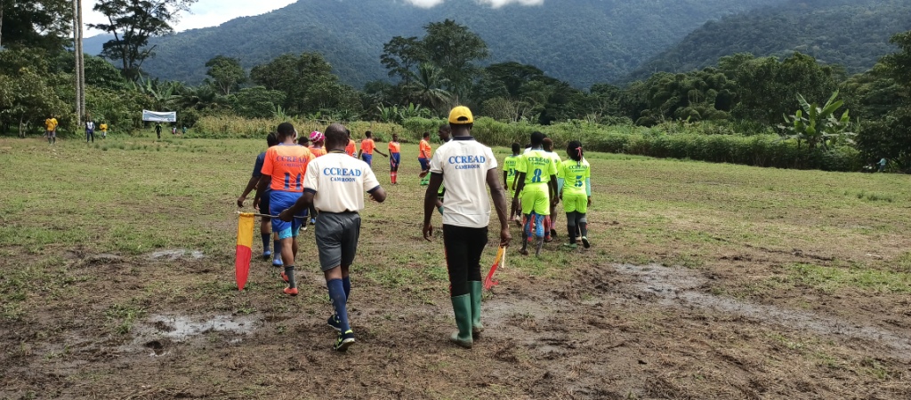 Tackling deforestation with football - Cool Earth