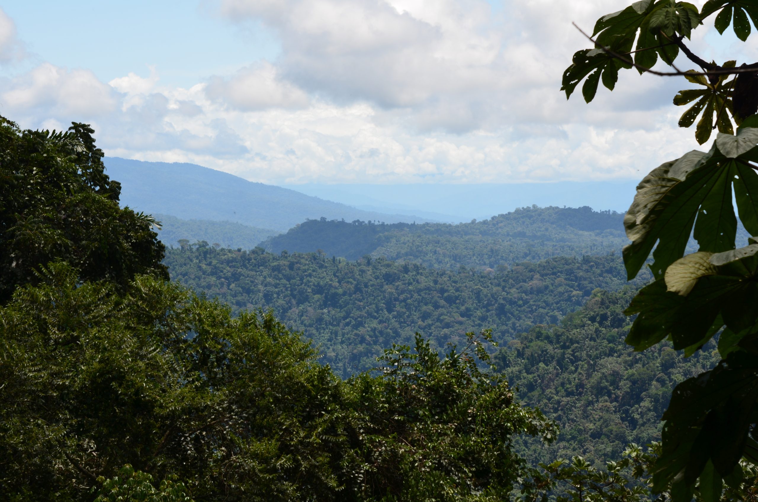 Parijaro Village lies in the remote Amazon rainforest.