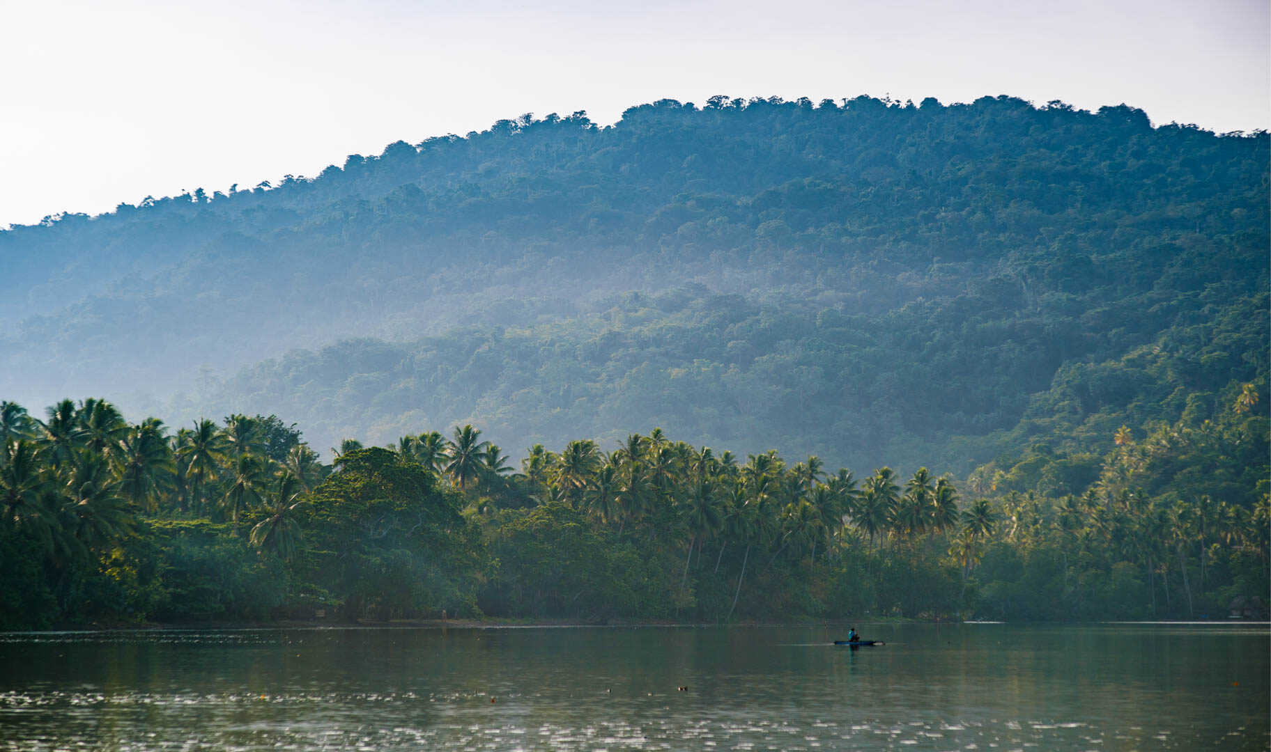 panoramic view of rainforest rolling over a hill on the edge of an ocean