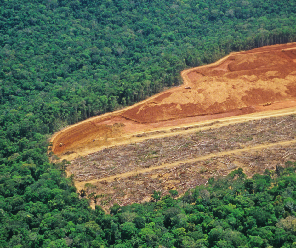 An aerial view of lush green Amazon rainforest is interrupted by large patch of deforested land, where the trees have been removed and only brown mud remains. 
