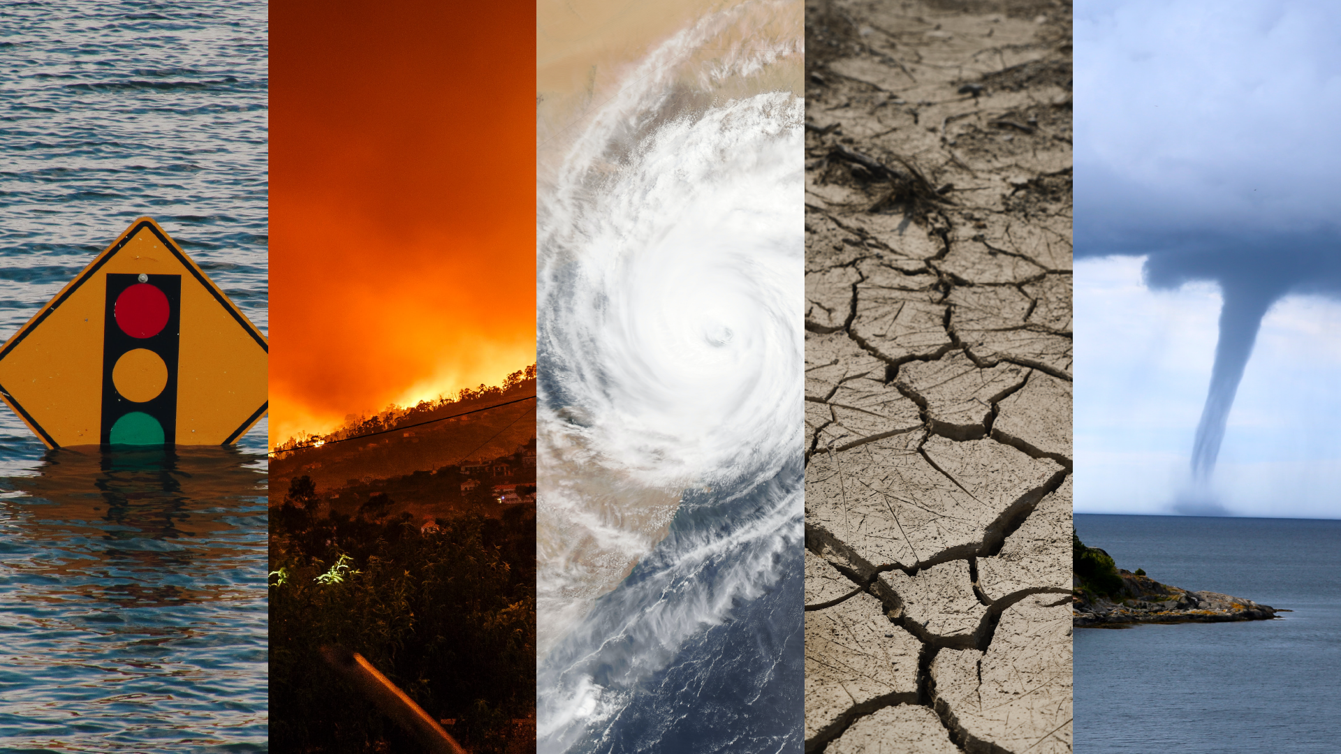 Cool Earth - 5 environmental tipping points