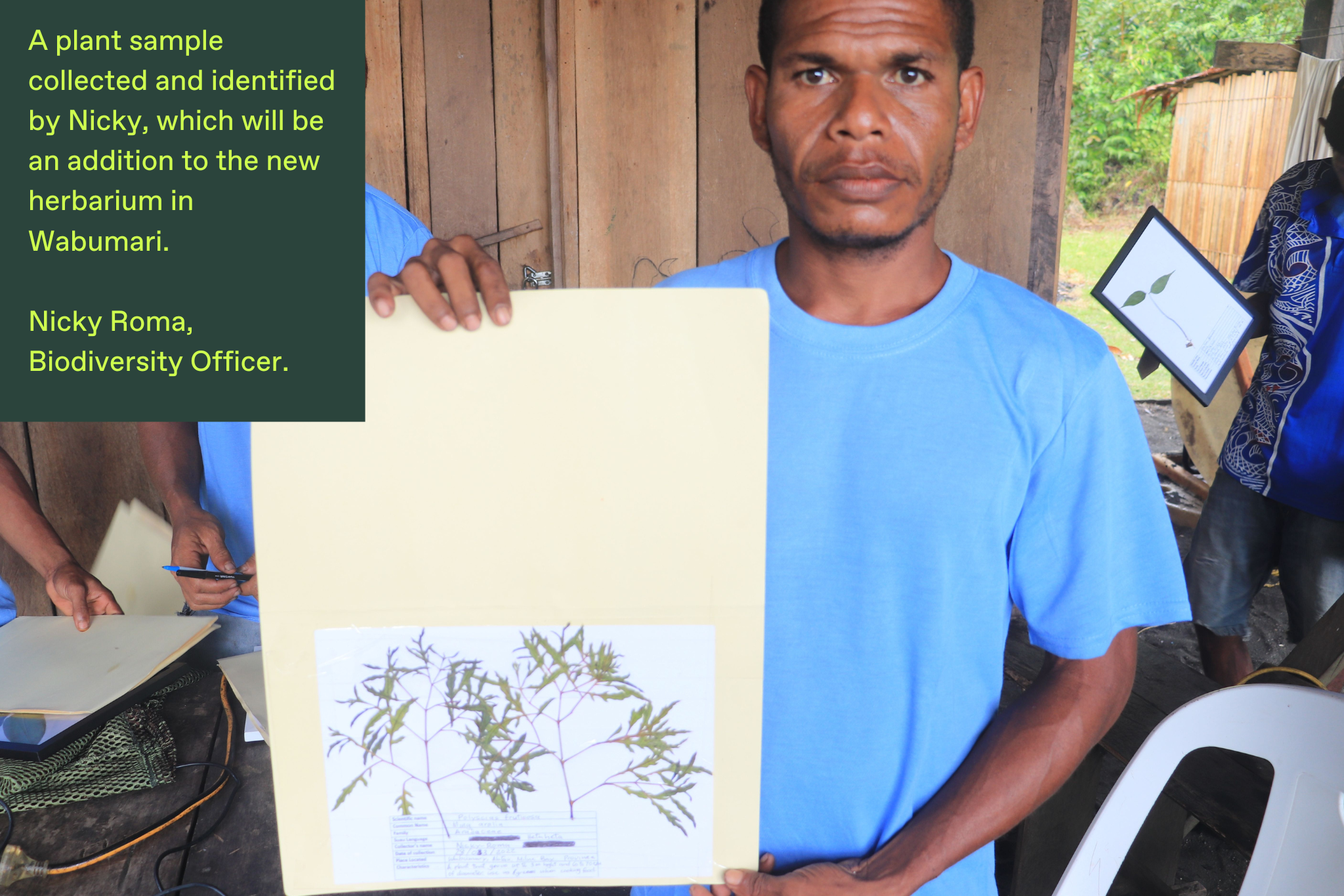 Biodiversity Officer Nicky Roma holds up herbarium samples he has collected and identified.