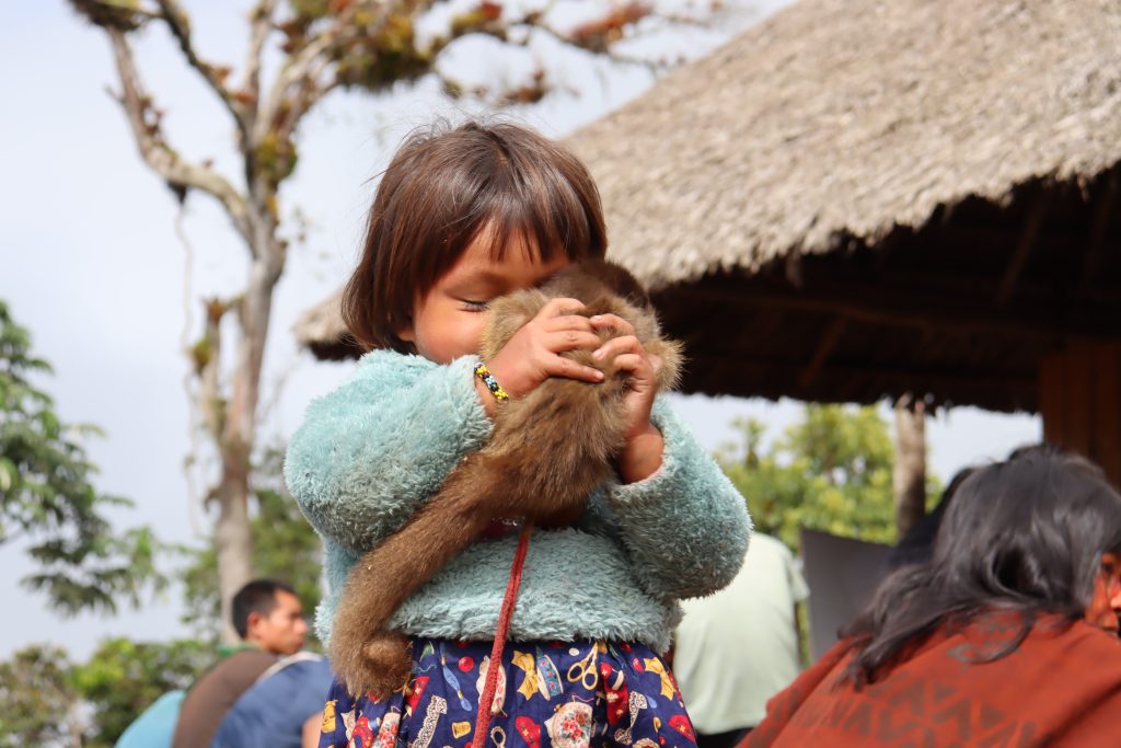 Young girl from an Ashaninka communities cradles an orphaned primate her family have been taking care of. 