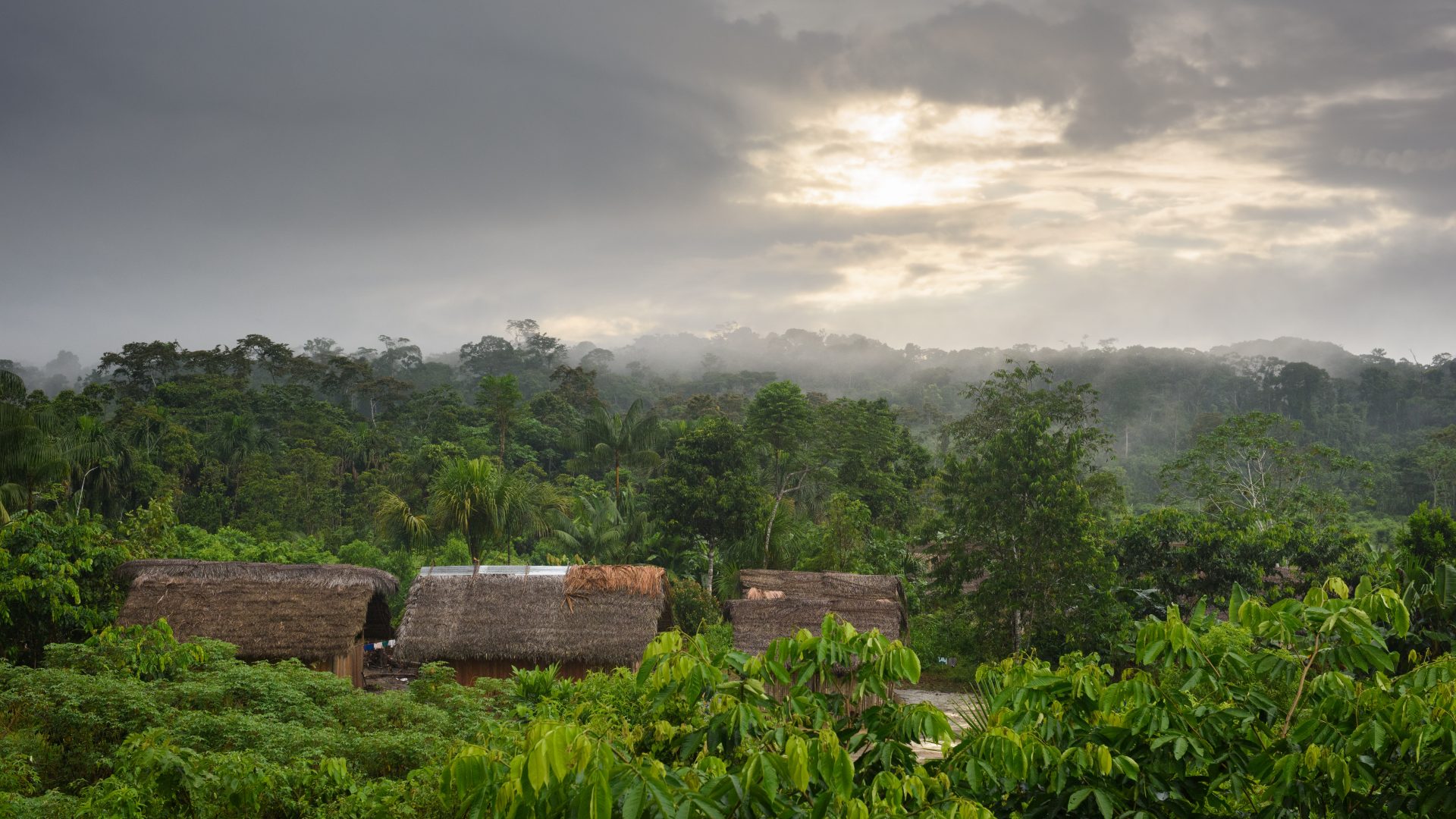 A grey day in Huaracaya, Awajun