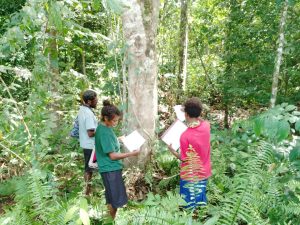 Three people are holding clipboards and standing next to a tree they are identifying. 