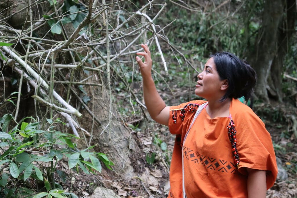 Elida, líder Asháninka y miembro de ONAMIAP, en la selva comunal.
