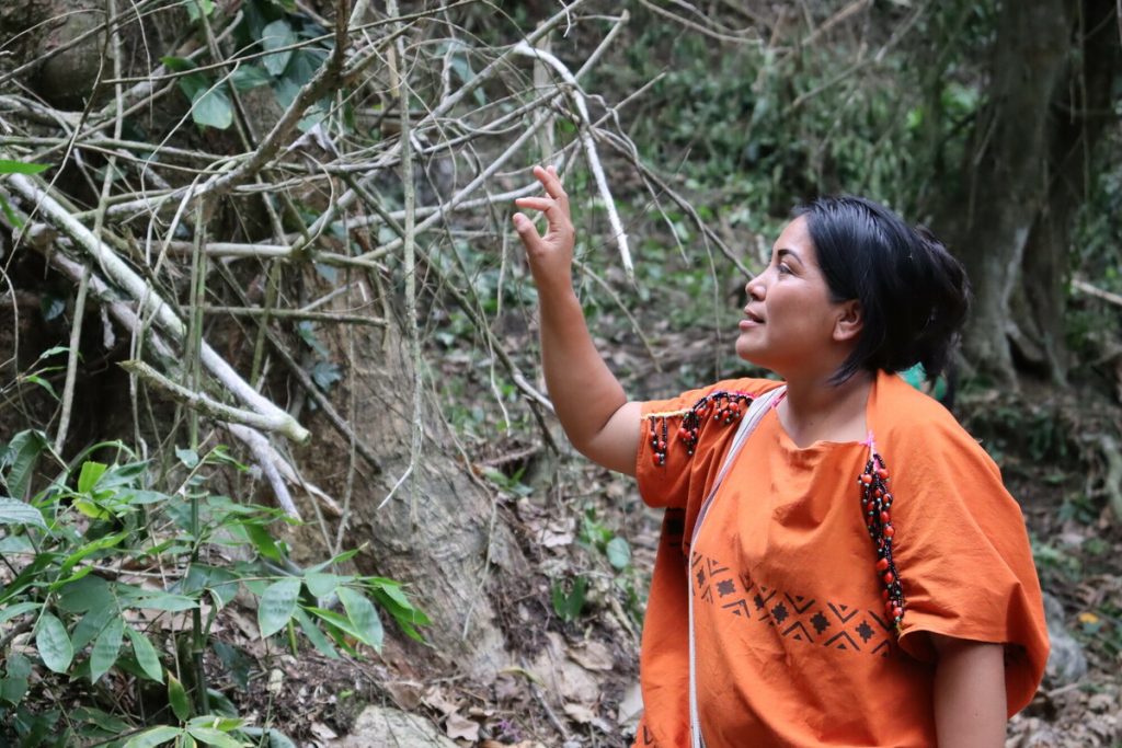 Elida, an Ashaninka leader and ONAMIAP member, in the communal rainforest.