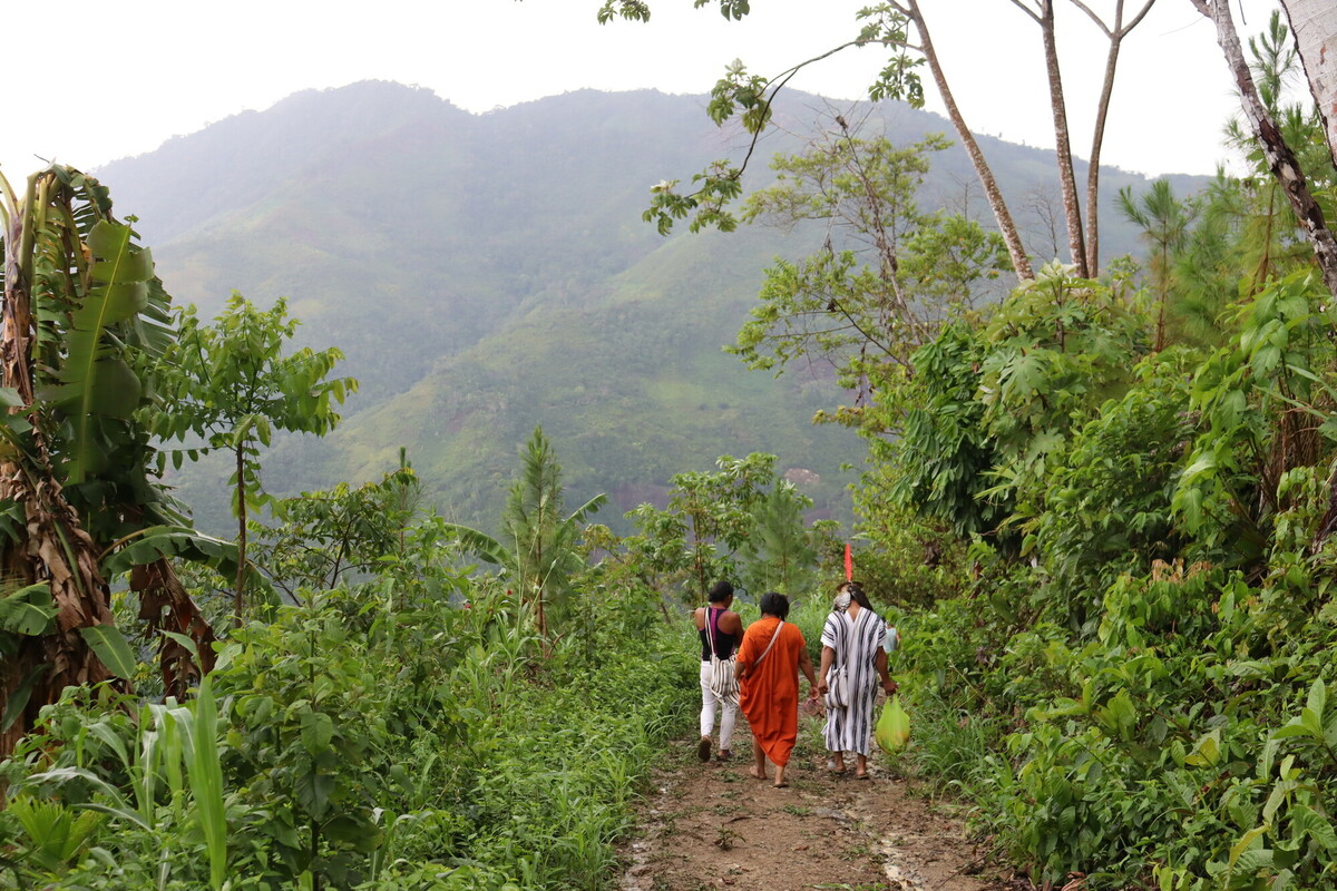Ashaninka leaders walking in the Amazon rainforest.