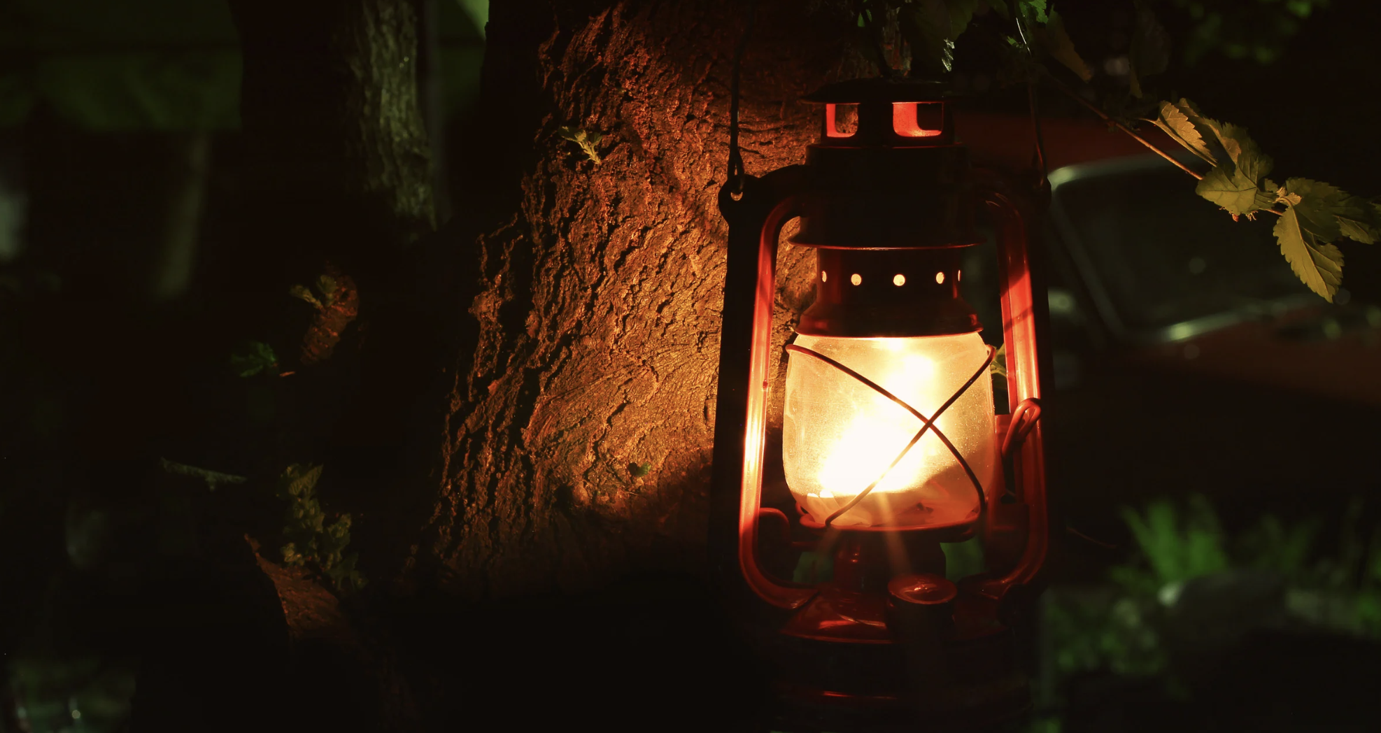 A solar light lit up and resting against a tree. 