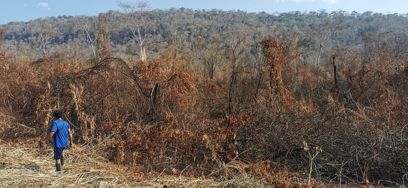 The aftermath of forest fires in the community of Potsoteni, Peru.