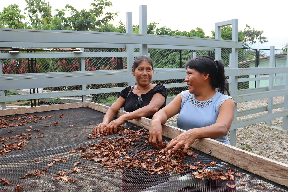 Cemilia and Virginia working at the cacao factory of Urakuza - both are members of the Cocoa Post Harvest Team