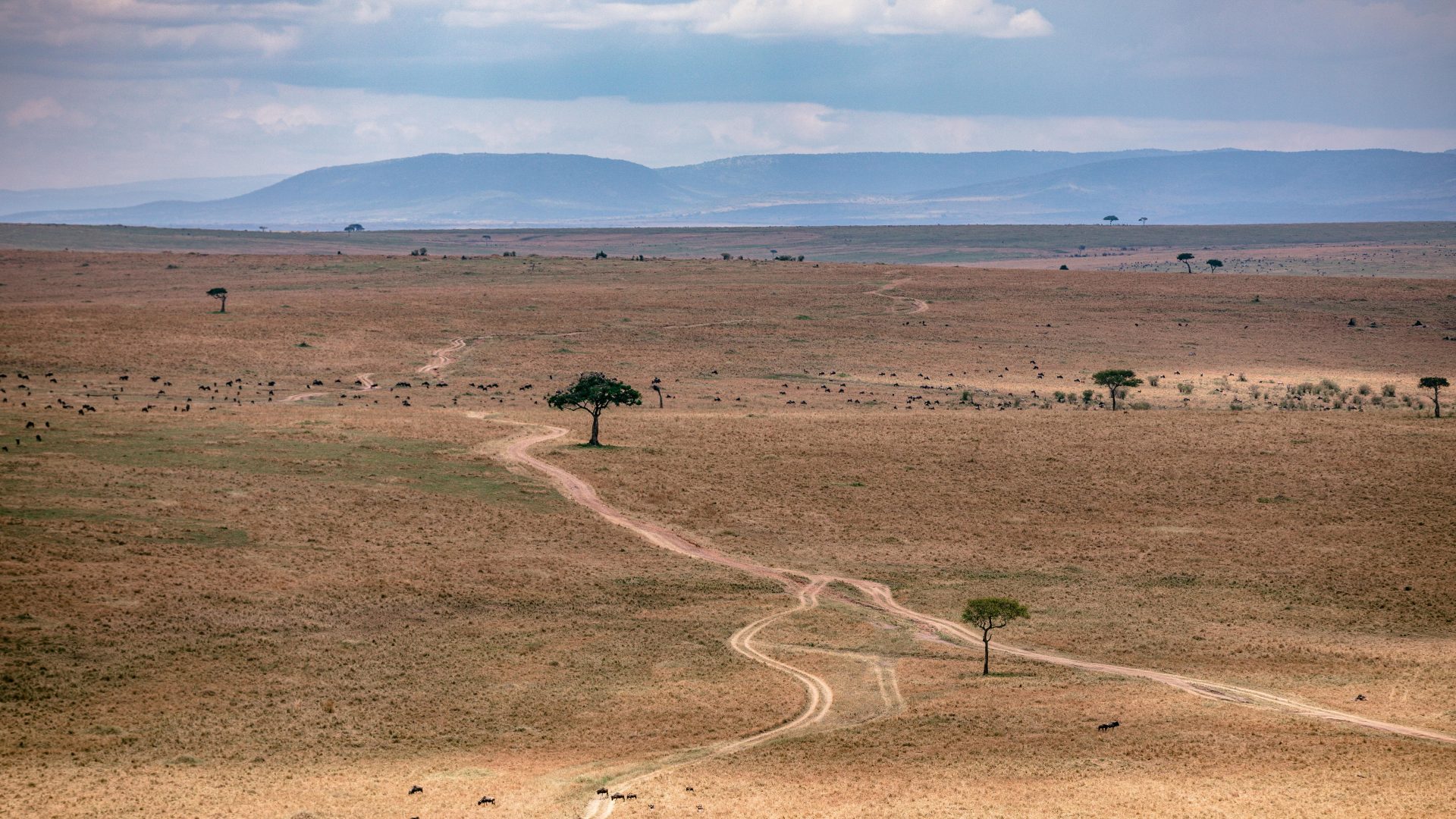 A dry and barren desert landscape.