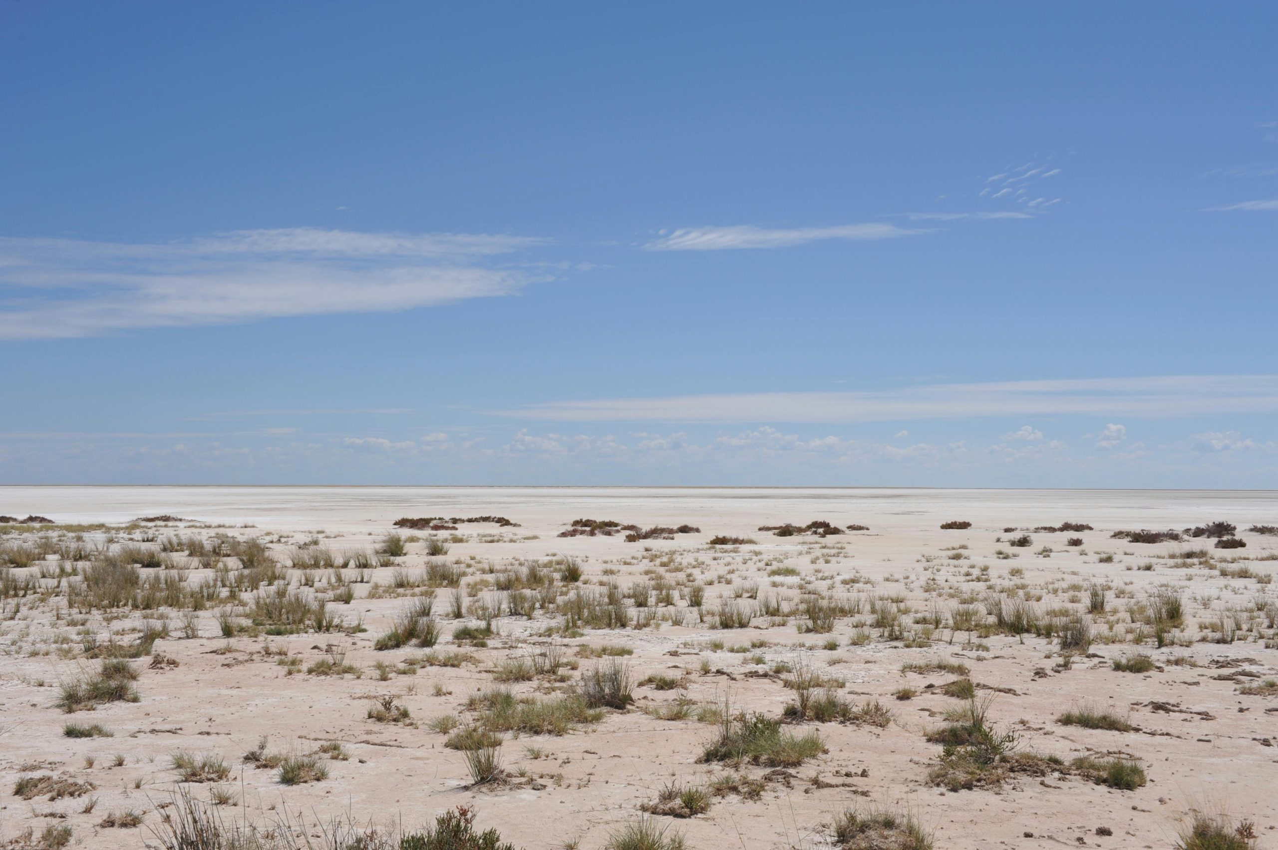 A dry and barren desert landscape.