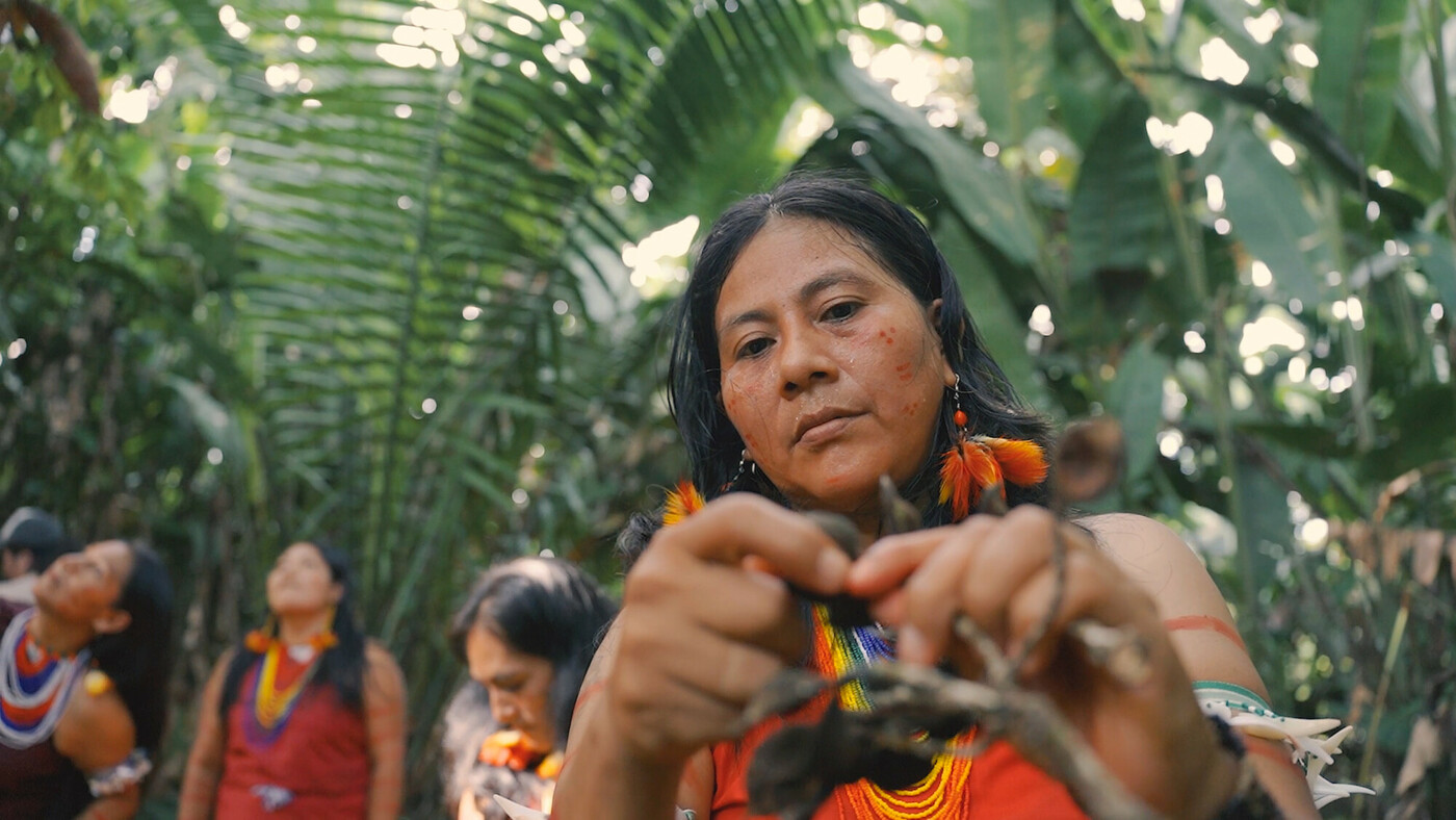 The Amarno Artisans work with ancestral seeds, collected from the Amazonian rainforest.