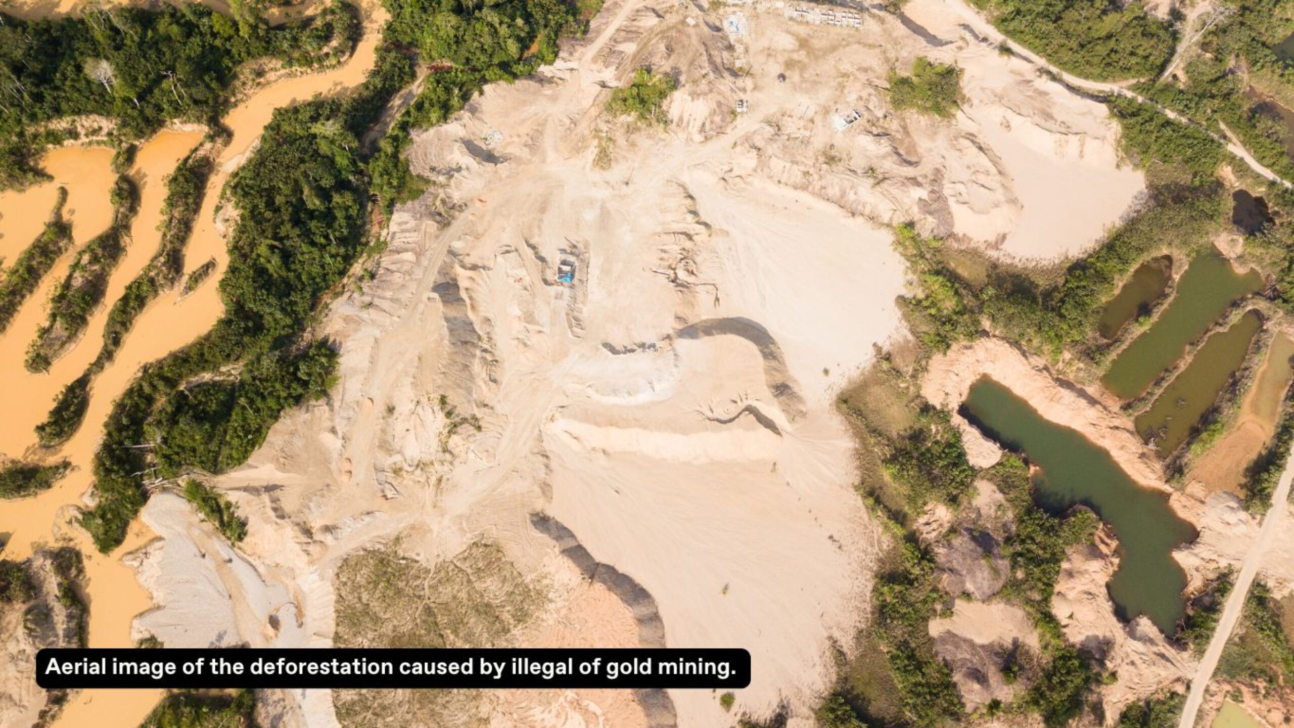 Illegal gold mining: the true cost on the rainforest