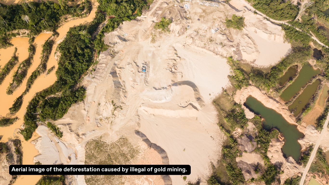 Minería ilegal de oro: el verdadero costo para la selva tropical – Cool ...