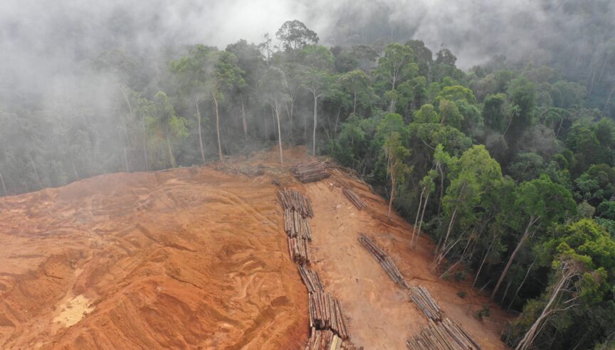 Logging