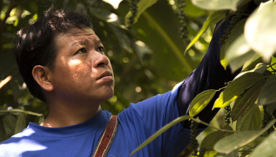 https://www.coolearth.org/wp-content/uploads/2025/07/160519_Honduras_Images-56-1.jpeg