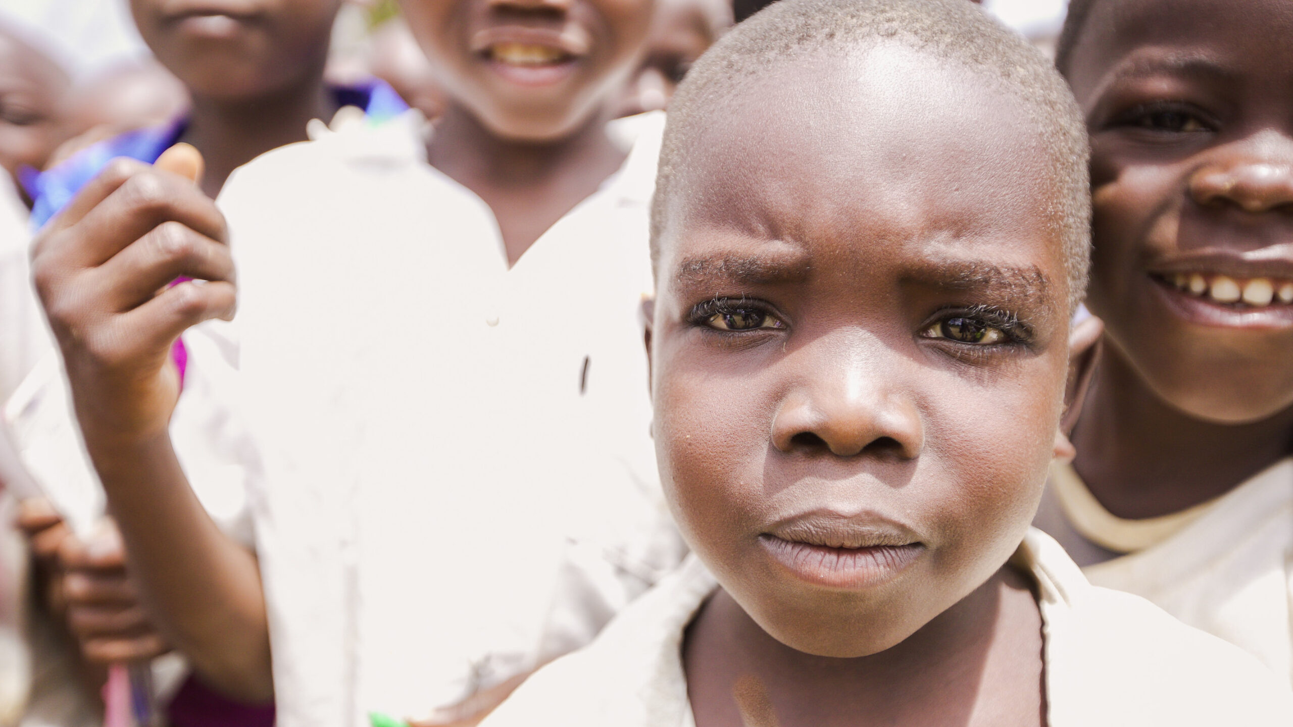 The Congo Basin