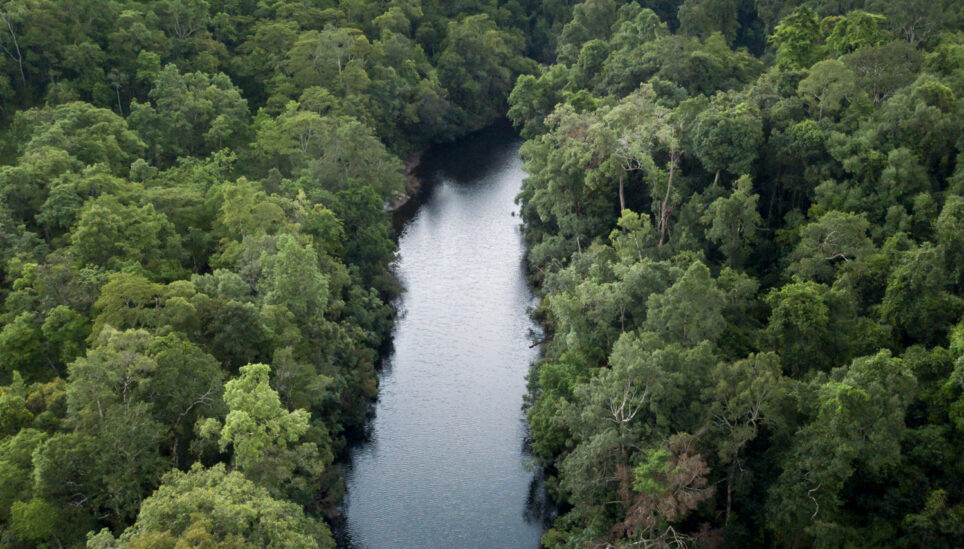 https://www.coolearth.org/wp-content/uploads/2025/07/190501_Cambodia_Croc_Site-0094.jpg