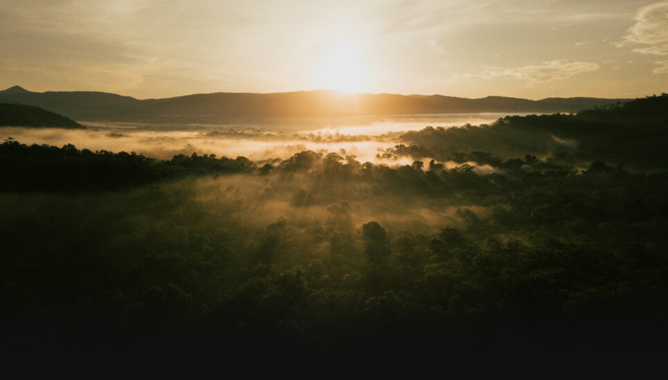 https://www.coolearth.org/wp-content/uploads/2025/07/190501_Cambodia_Croc_Site_Aerials-0178.jpg