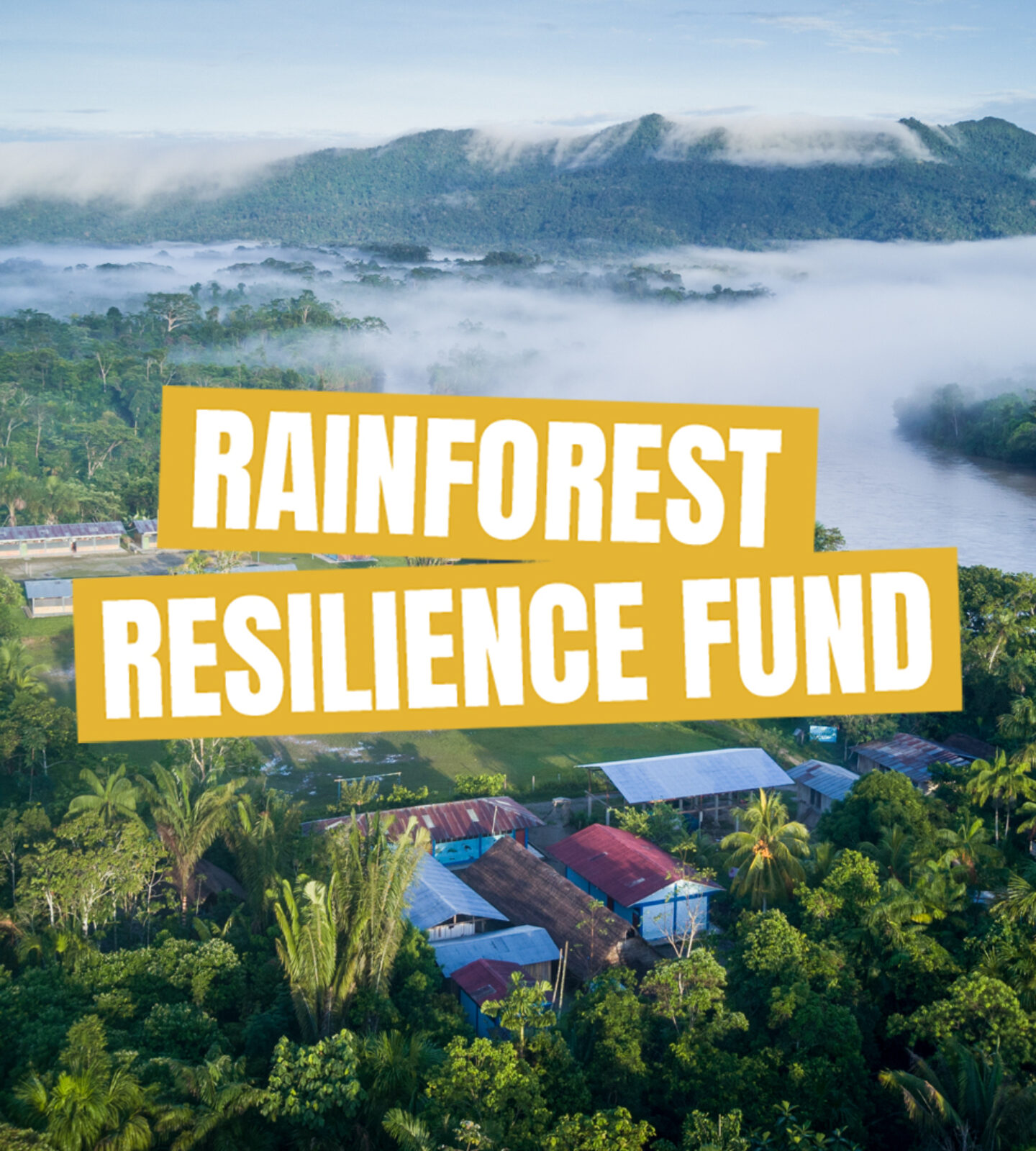 Rainforest Resilience Fund