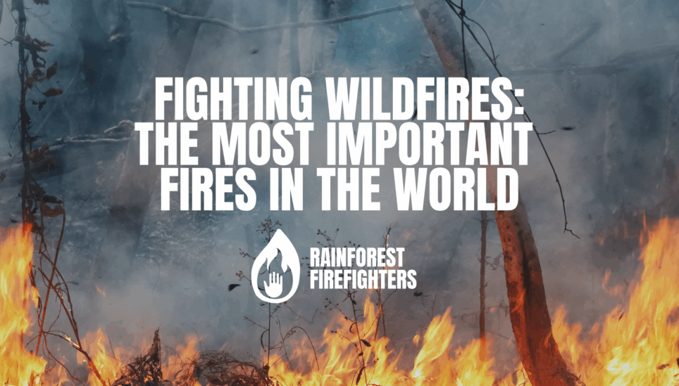 https://www.coolearth.org/wp-content/uploads/2025/07/210827-Fighting-Wildfires-The-most-important-fires-in-the-world-12.png