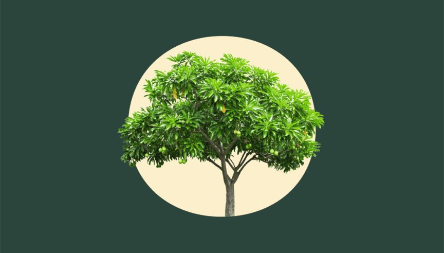 Tropical Tree