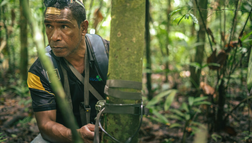 Rainforest Labs