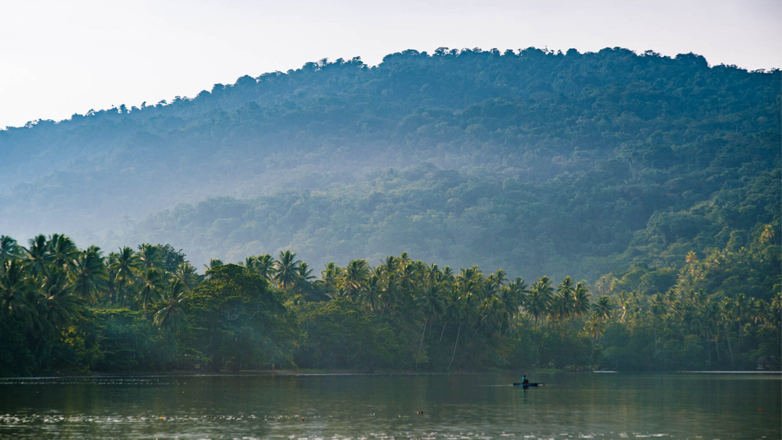 Big win for rainforest protection in Papua New Guinea