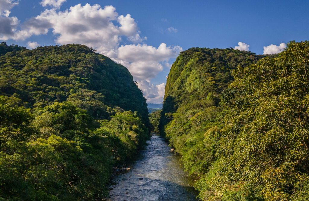 Colombian Amazon, Photo by Mateo Arteaga