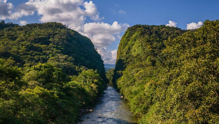Some areas of the Amazon...