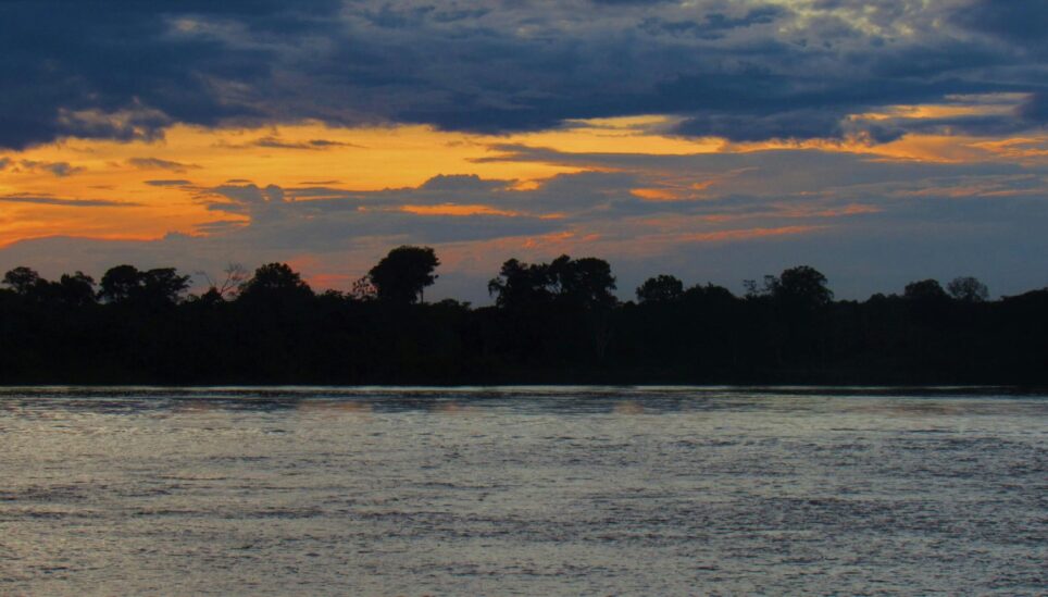 https://www.coolearth.org/wp-content/uploads/2025/07/Amazon-region.-Leticia.-Amazonas.-Colombia.-Free.-Photo-by-Nancy-on-Pexels-scaled-1.jpg