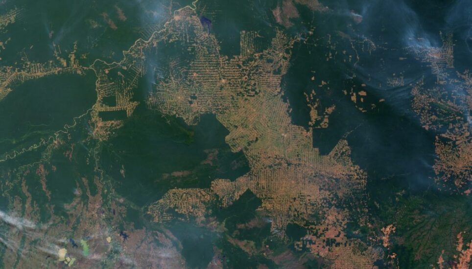 https://www.coolearth.org/wp-content/uploads/2025/07/Bolsonaro-promises-to-exploit-every-square-centimetre-of-indigenous-Brazilian-rainfores-2-1067x600-1.jpeg