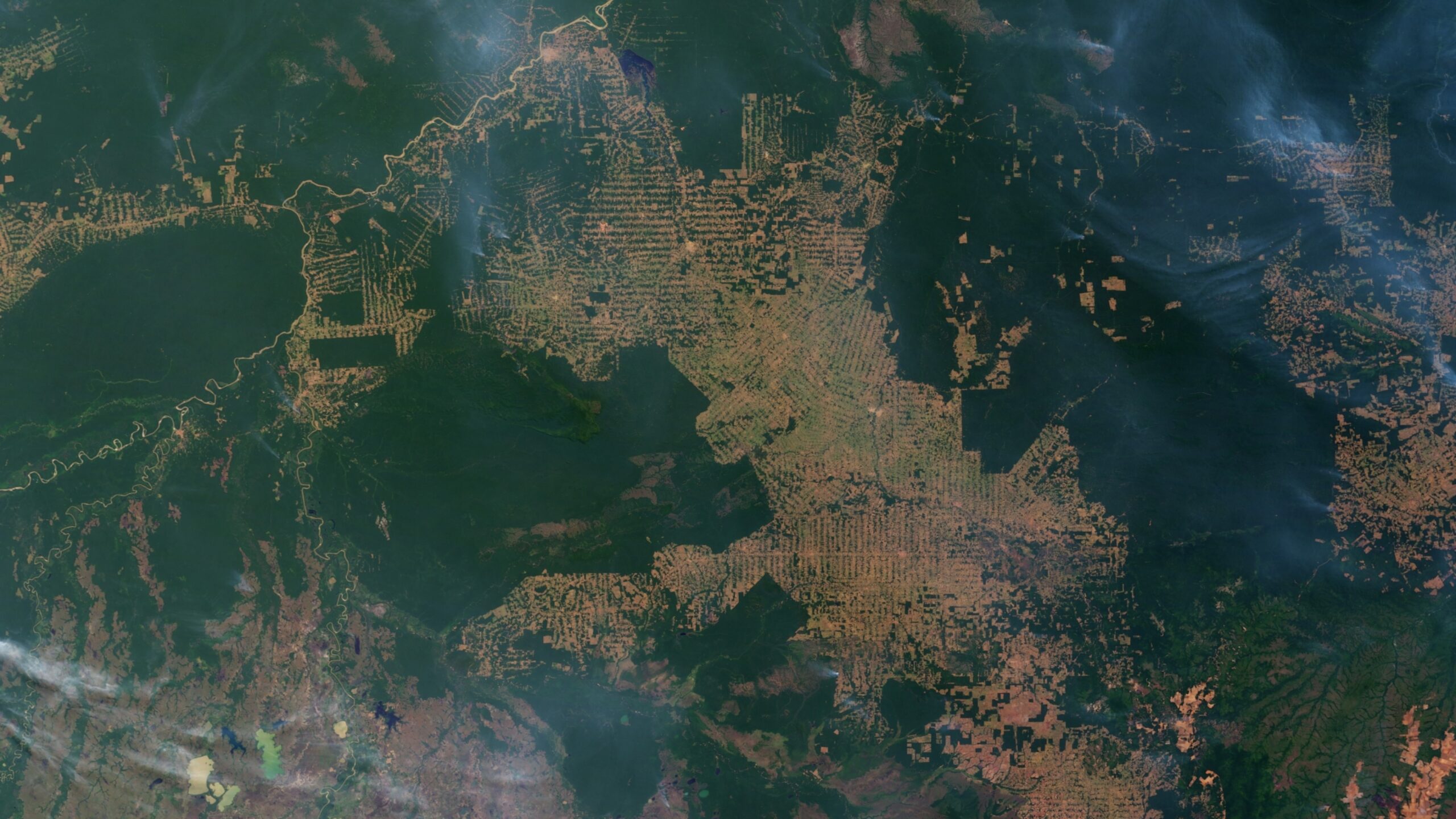 Bolsonaro promises to exploit “every square centimetre” of indigenous Brazilian rainforest