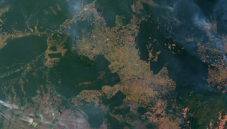 https://www.coolearth.org/wp-content/uploads/2025/07/Bolsonaro-promises-to-exploit-every-square-centimetre-of-indigenous-Brazilian-rainfores-2.jpg