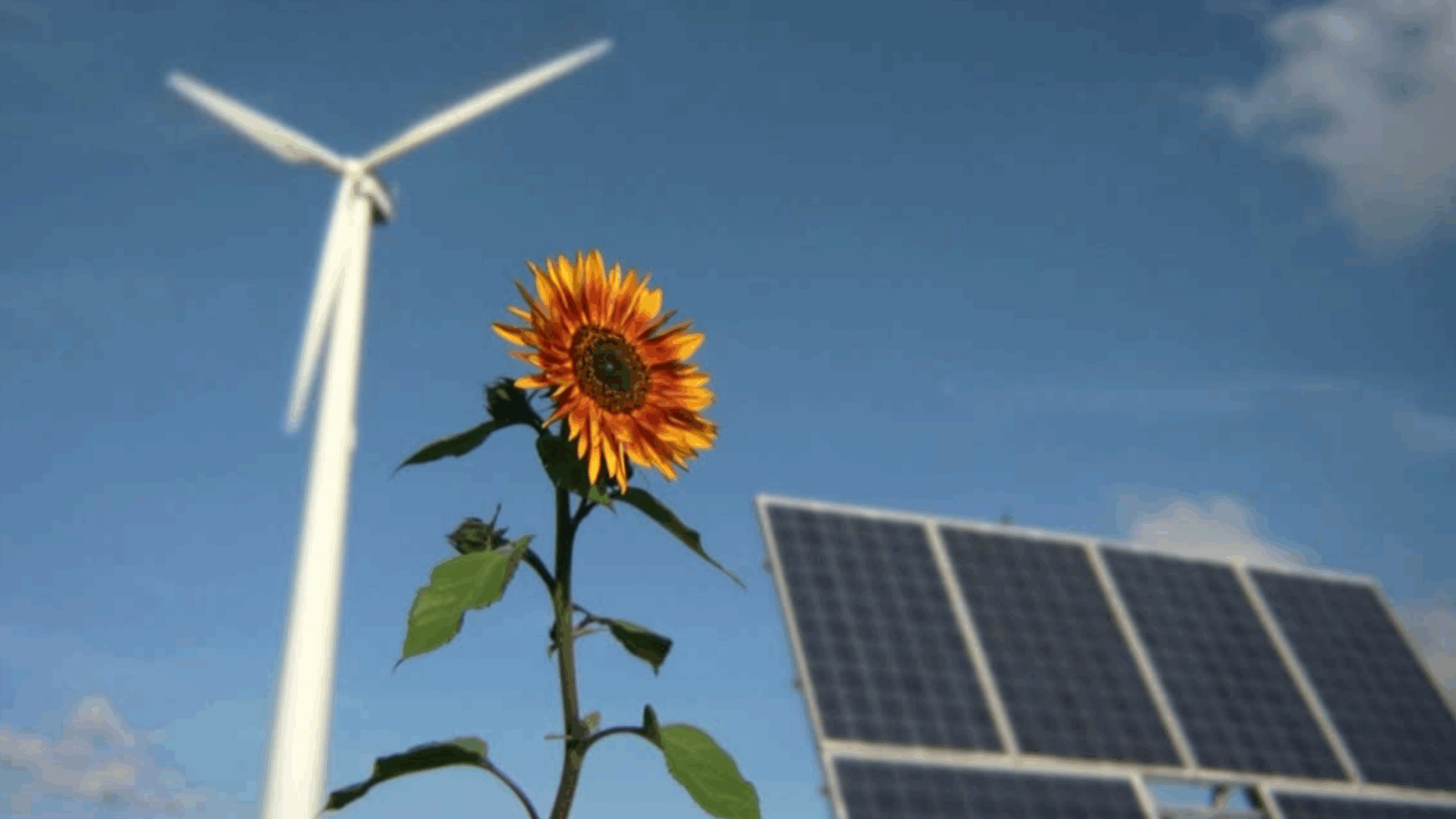 A Dose of Climate Optimism
