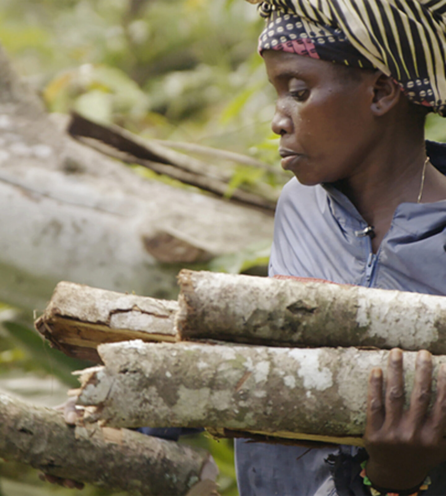 The Congo and Carbon