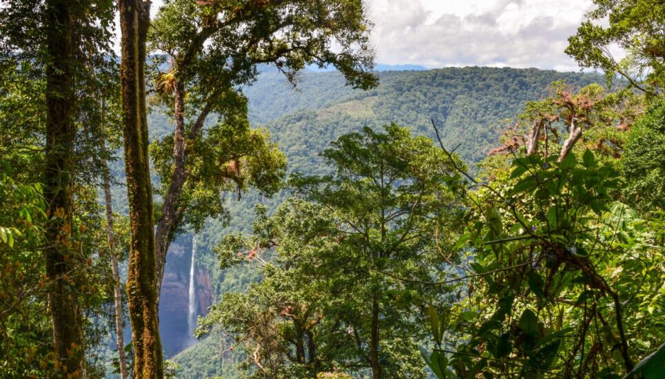 https://www.coolearth.org/wp-content/uploads/2025/07/Cool-Earth-Deforestation-Forecasting-What-if-2-1536x1018-1.jpg