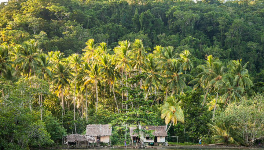 Why Rainforest?