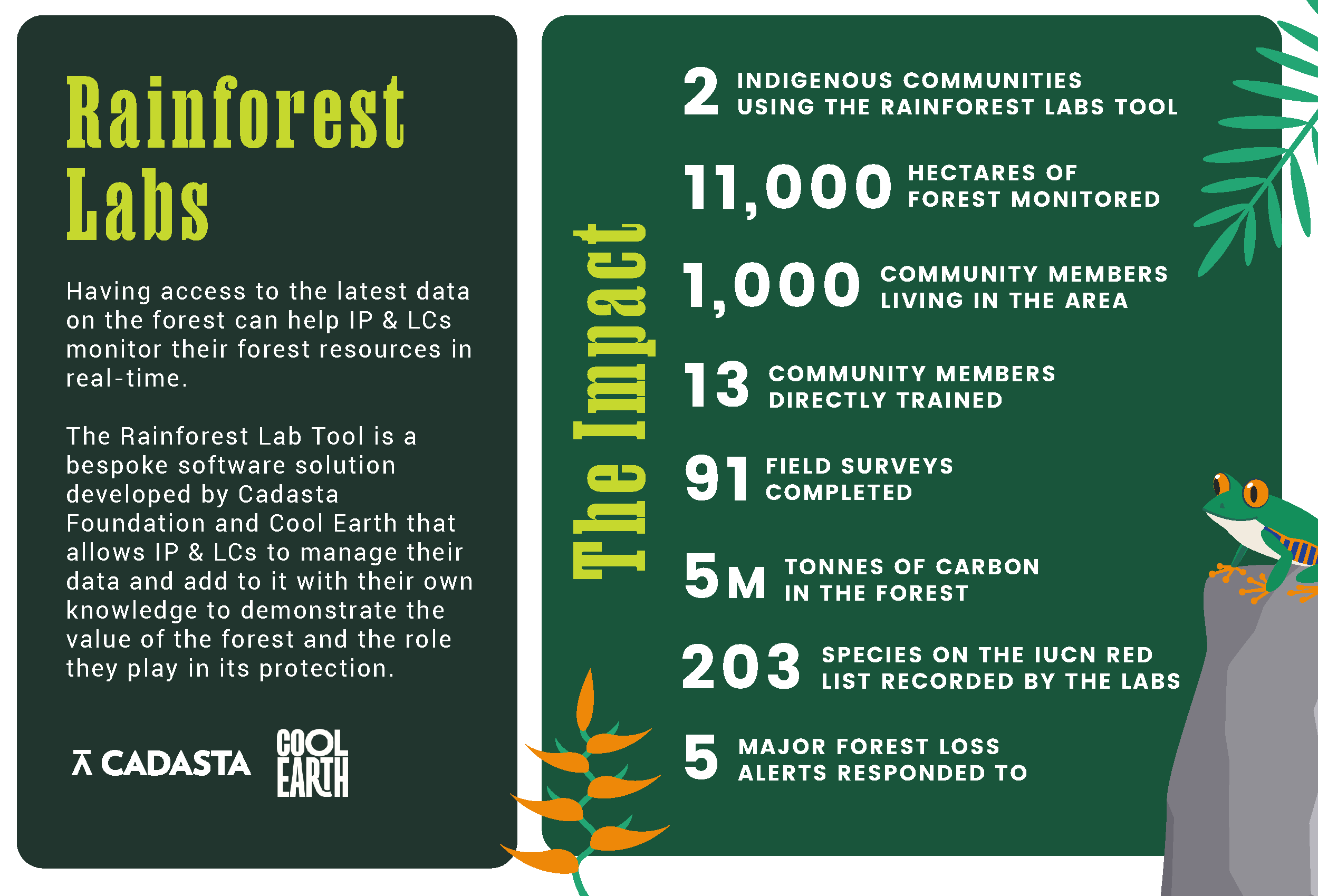 Could Indigenous knowledge save the Amazon rainforest?