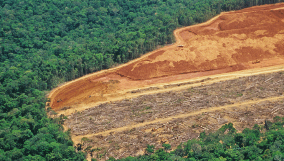 https://www.coolearth.org/wp-content/uploads/2025/07/Deforestation-in-the-Brazilian-Amazon.png