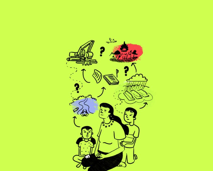 Take our life in the rainforest quiz