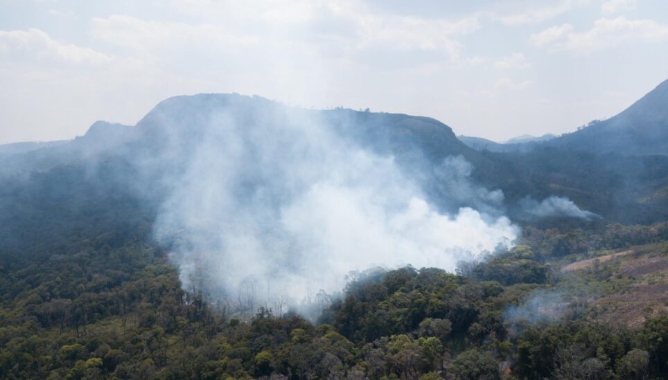 https://www.coolearth.org/wp-content/uploads/2025/07/Dont-wait-for-the-smoke-to-clear-Take-action-to-stop-rainforest-burning-now-1.jpg