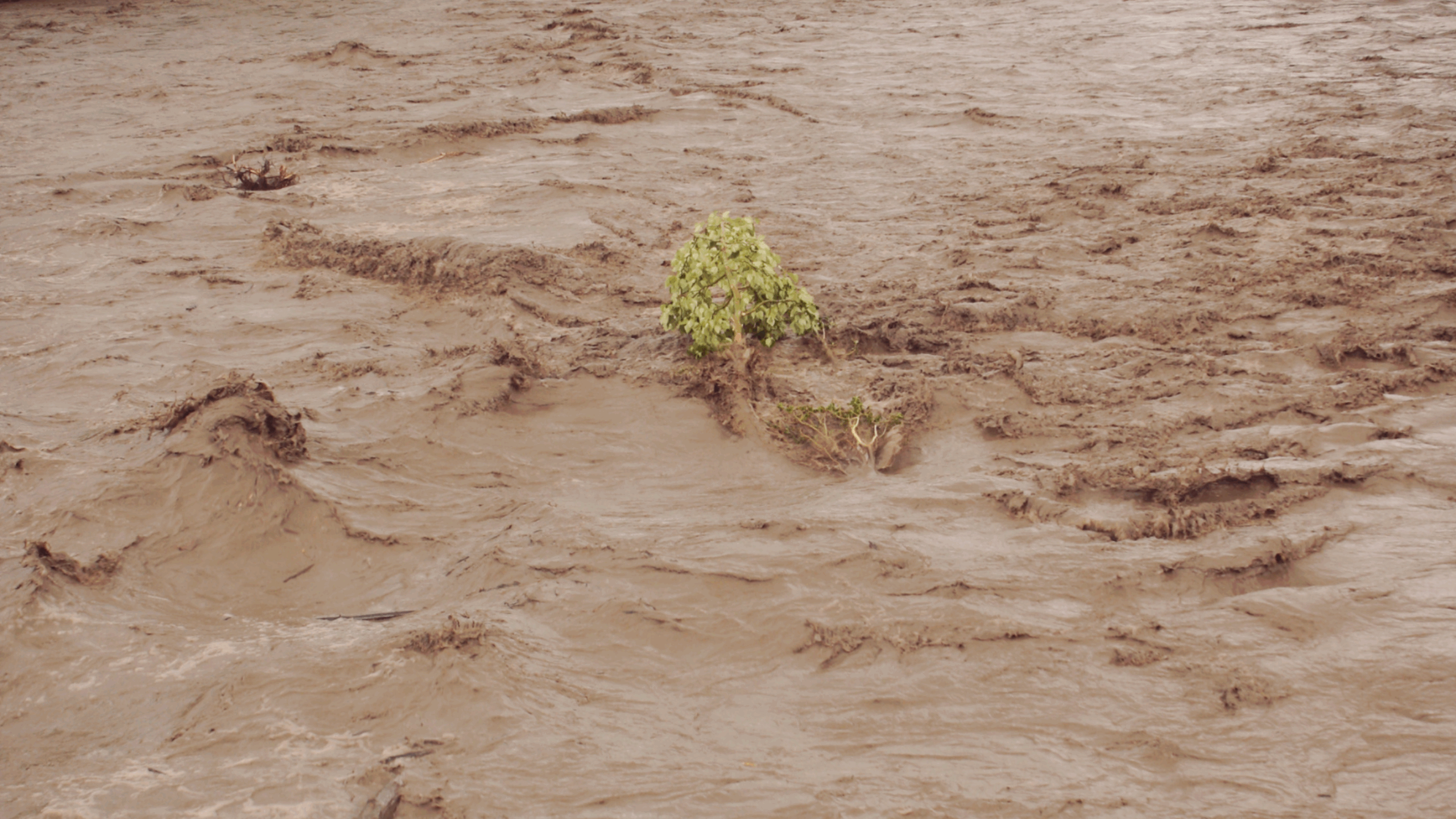Emergency relief for the Pakistan flood disaster