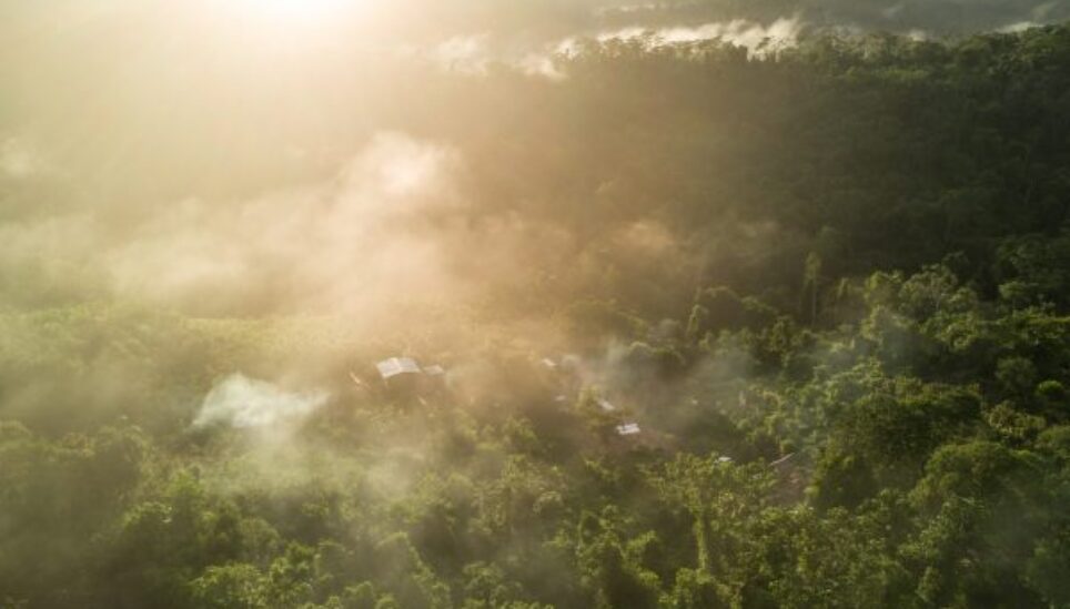 https://www.coolearth.org/wp-content/uploads/2025/07/IPBES-Report-Biodiversity-loss-is-a-social-and-ecological-emergency-6.jpg