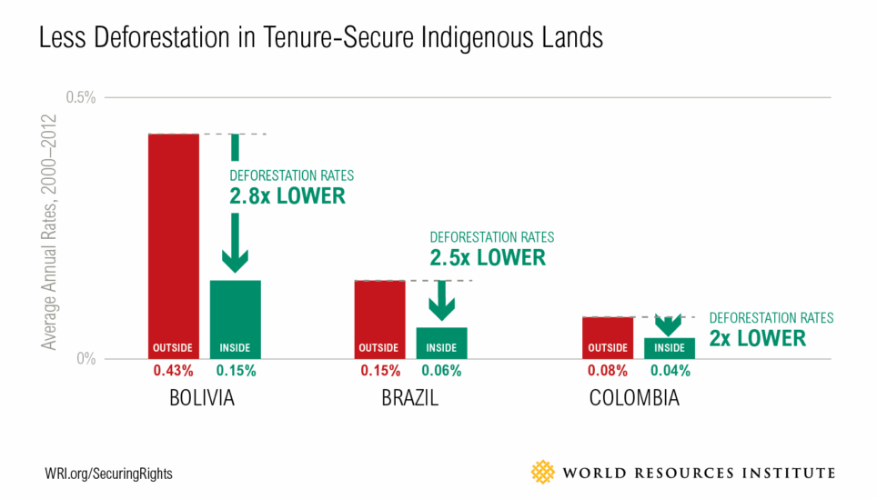 https://www.coolearth.org/wp-content/uploads/2025/07/Less-deforestation-in-tenure-secure-indigenous-lands_World-Resource-Institute.png