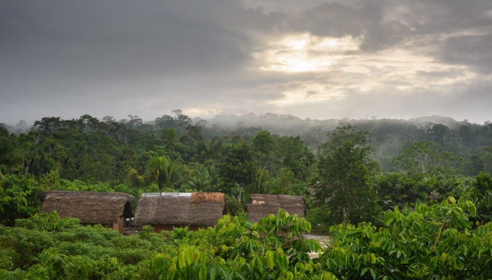 https://www.coolearth.org/wp-content/uploads/2025/07/RS1269_170425_Peru_Awajun_Huaracayo-0238-scaled-1.jpg