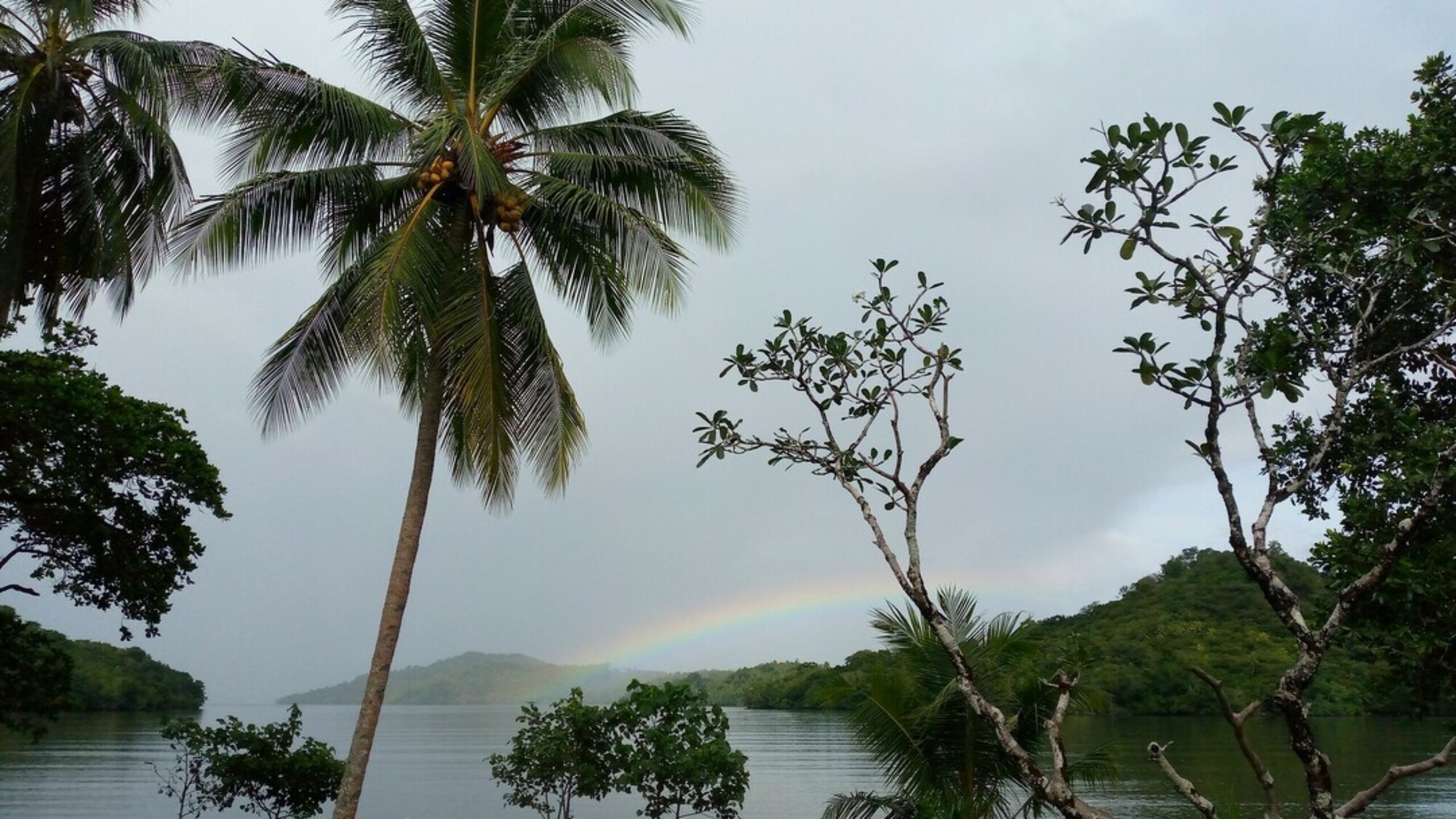 Climate Justice: Empowering Voices, Creating Choices