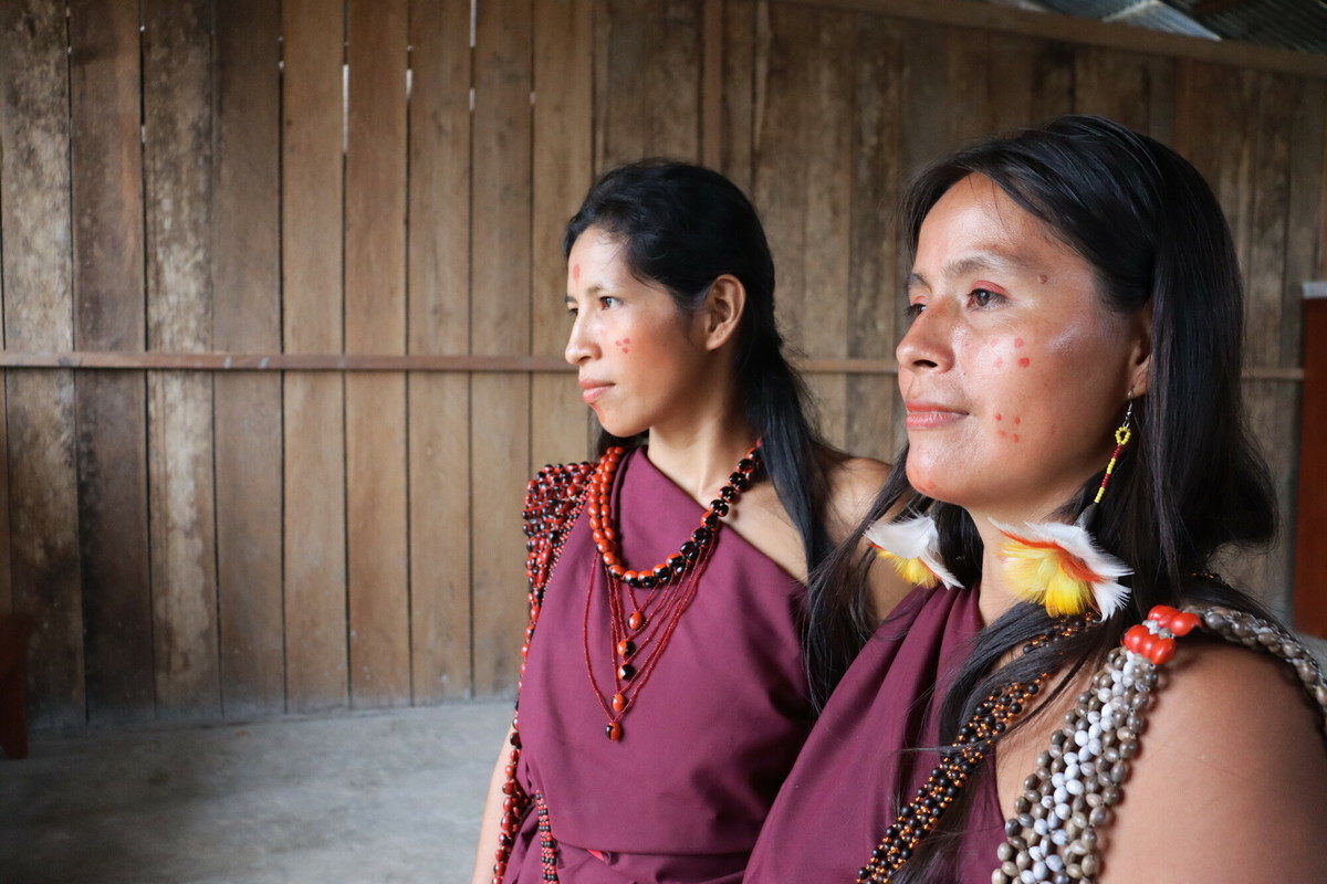 Normal Indegenous A step backward in recognising Indigenous rights – Cool Earth
